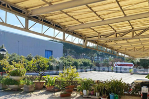 Capannone Romanina home